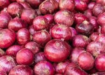 Onion buffer stock will increased by NAFED