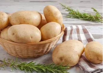 know about Is it OK to eat potatoes every day?