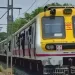 Man falls from local train in between diva and kopar station