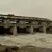 Nilwande dam water reached in jayakwadi dam back water