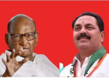 Sharad Pawar criticized anil patil madha