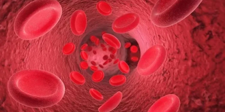 know about how to increase hemoglobin