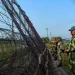 India Bangladesh Border Near Assam Tripura NIA Arrest 14 Illegal Bangladeshi People