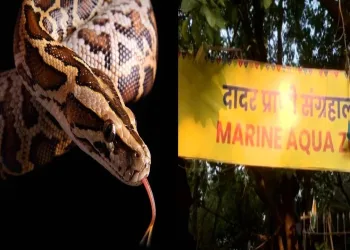 Animal theft in shivaji park zoo in mumbai