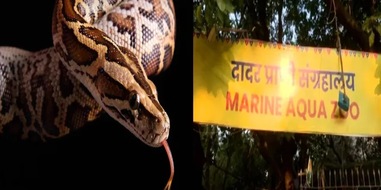 Animal theft in shivaji park zoo in mumbai