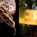 Animal theft in shivaji park zoo in mumbai