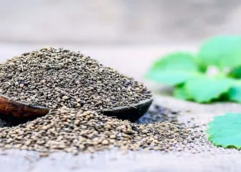 know about Benefits and Uses of Carom Seeds (Ajwain)