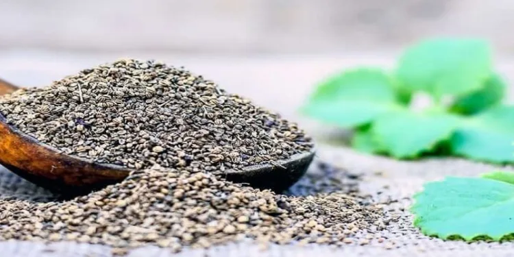 know about Benefits and Uses of Carom Seeds (Ajwain)