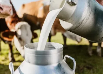 Farmers are in financial crisis as milk price drops