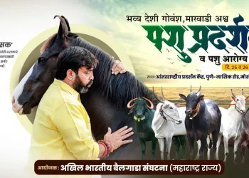 exhibition of horse and govansh in pimpri chinchwad pune