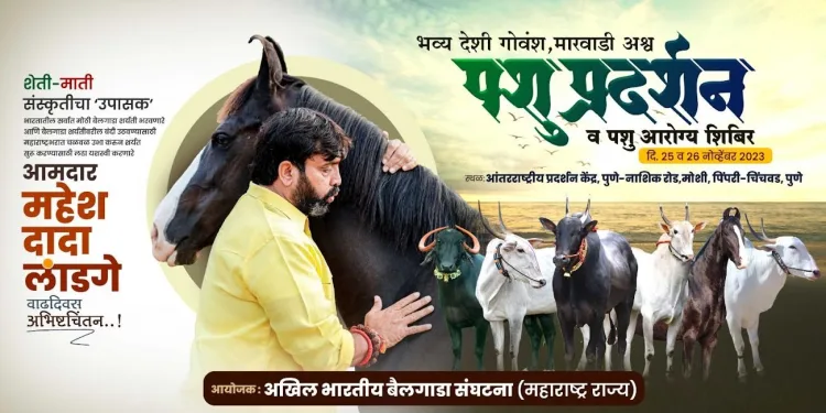 exhibition of horse and govansh in pimpri chinchwad pune