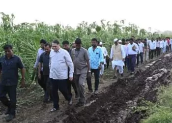 Dilip walse patil assured farmers for getting aid from government