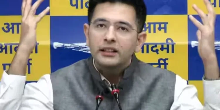 AAP's Request To Appoint Raghav Chadha As Rajya Sabha Leader Declined