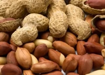 Know about eating ground nuts