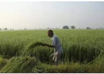 Digital crop survey for crop registration from this kharif season