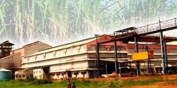 Yashwant cooperative sugar factory elected declared