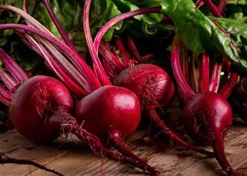 Know the importance of eating beetroot