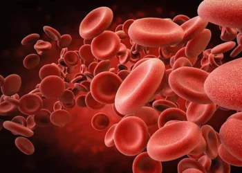 Know about how to increase blood count in body