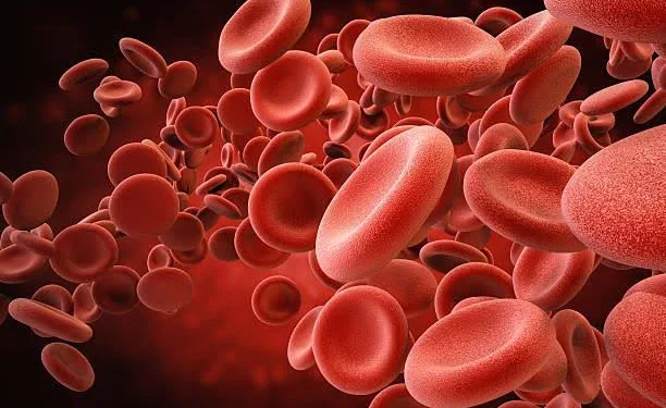 Know about how to increase blood count in body