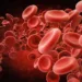 Know about how to increase blood count in body