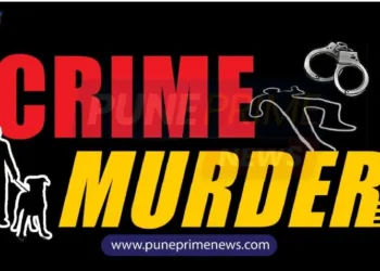 duaghter murdered her mother with help of friend pune