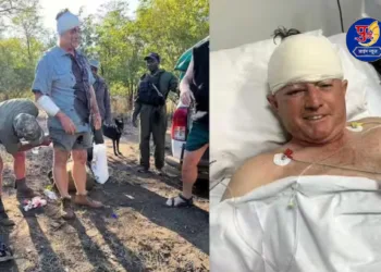 Former Zimbabwe cricketer Guy Whittall mauled by leopard, pet dog comes to rescue