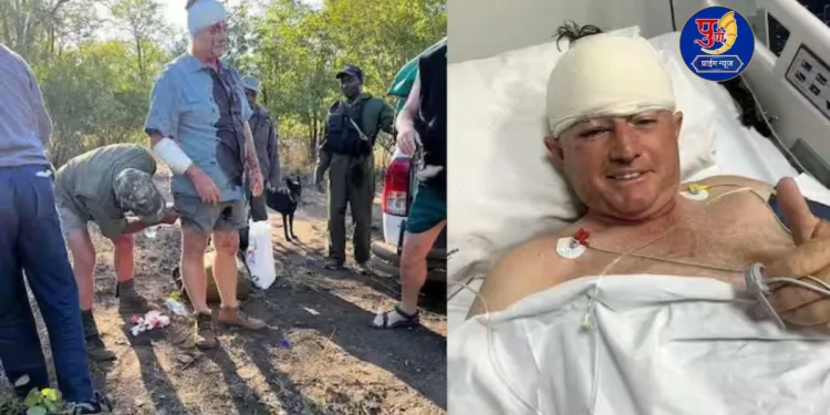 Former Zimbabwe cricketer Guy Whittall mauled by leopard, pet dog comes to rescue