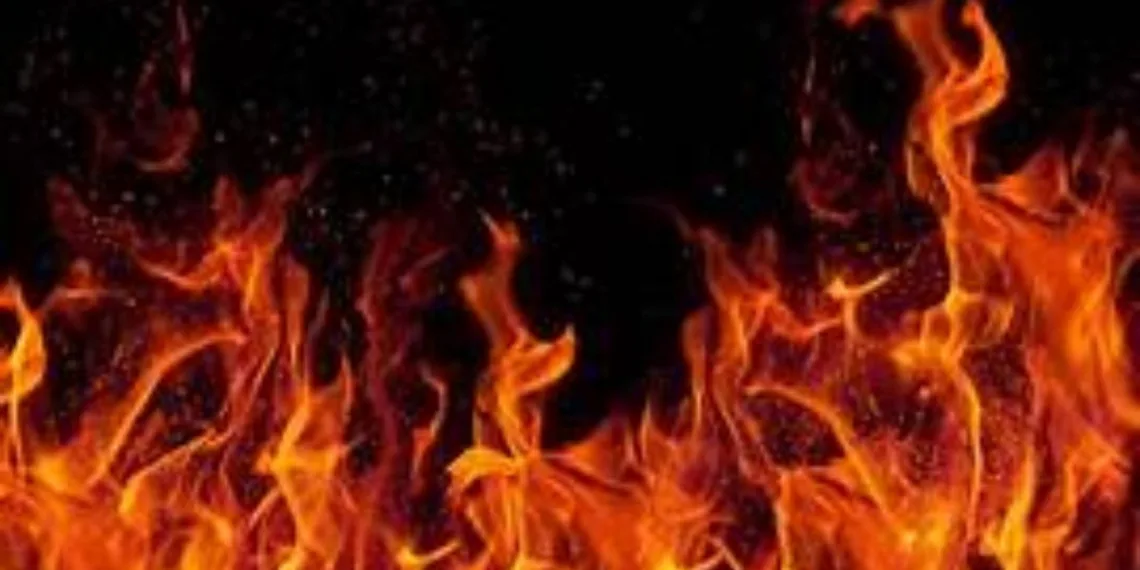 Man died as fire caught dairy shop in bibwewadi pune