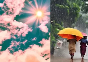 unseasonal rain and heatwaves forecasts today in maharashtra by IMD