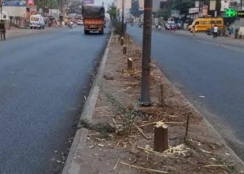 20 trees cut down in front of shewalwadi bus depot poune