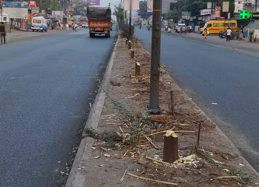 20 trees cut down in front of shewalwadi bus depot poune