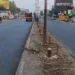 20 trees cut down in front of shewalwadi bus depot poune