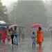 IMD predicts early arrival of monsoon on sunday