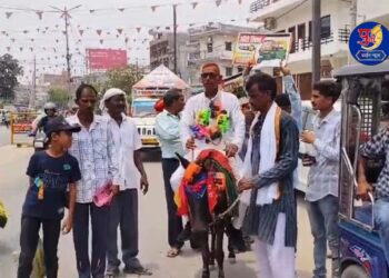 Independent candidate takes donkey ride to campaign in Bihar’s Gopalganj