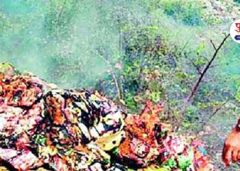 Panevl police destroy gutkha worth of 12 lakh