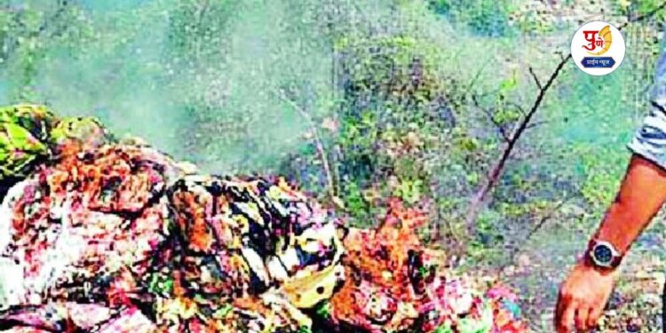 Panevl police destroy gutkha worth of 12 lakh
