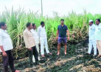 two acres sugarcane land caught with fire pune