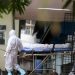 14-year-old infected with Nipah virus in Kerala dies Centre to assist in tackling outbreak