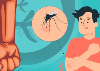 dengue patients increased raigad district