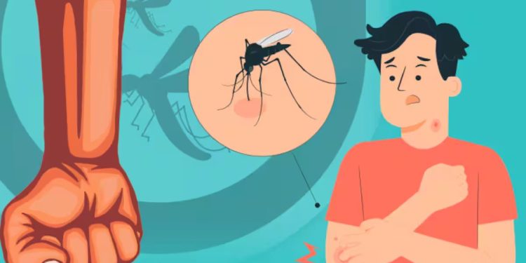 dengue patients increased raigad district