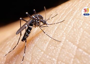 8 test positive for Zika virus in Pune tally stands at 45