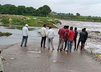 Water hyacinth menace chokes koregaon mul biwari bandhara uruli kanchan pune