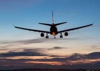 Head lice forces emergency landing of New York-bound American airlines flight