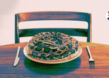 Would you eat a python It may be the sustainable food of the future