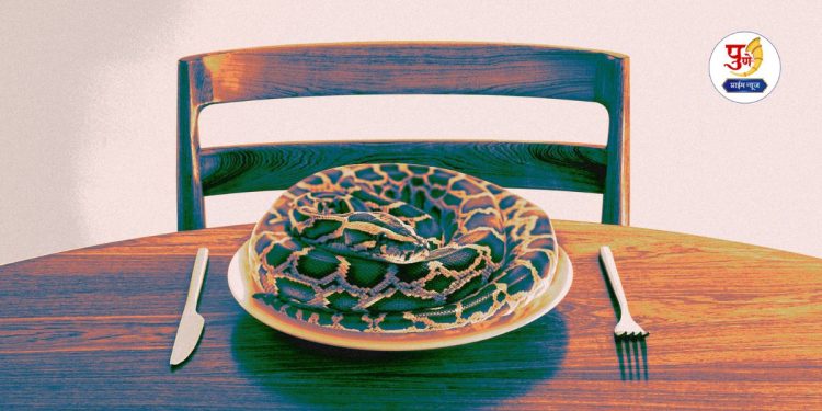 Would you eat a python It may be the sustainable food of the future