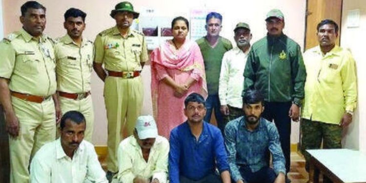 five arrested for hunting Sambar deer in kolhapur