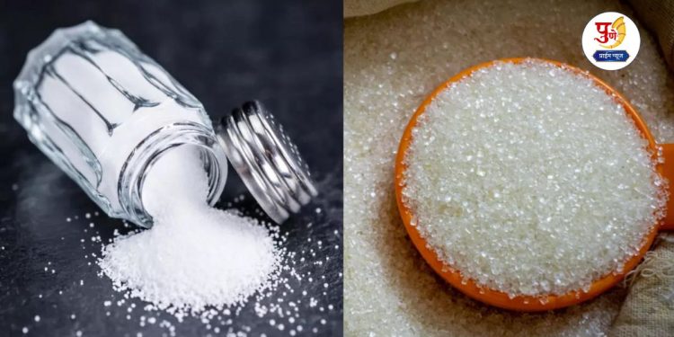 Microplastics present in many Indian salt, sugar brands, says new study