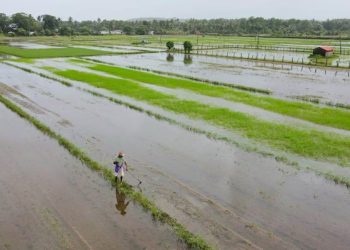 two crore aid for farmers for heavy rainfall loss pune