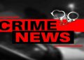 thief arrested and two pistol seized by police pune