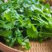 Coriander Prices Surge In Pune Markets